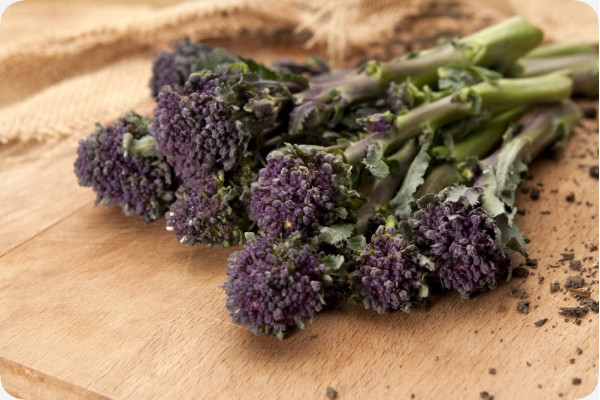 Organic Broccoli - Early Purple