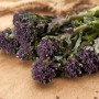 Organic Broccoli - Early Purple