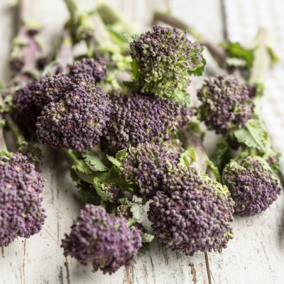 Organic Broccoli - Early Purple