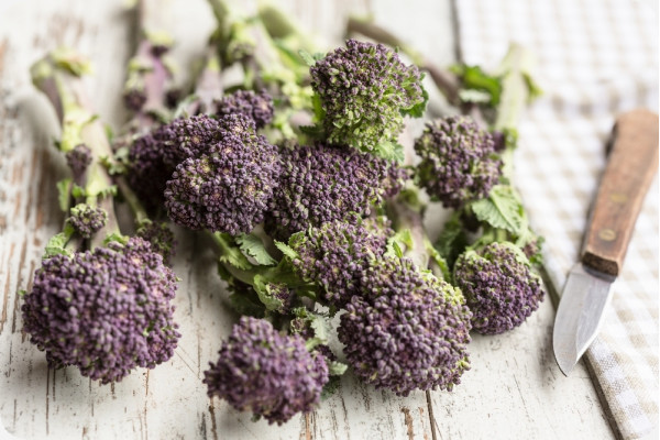 Organic Broccoli - Early Purple