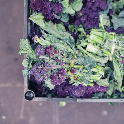 Organic Broccoli - Early Purple