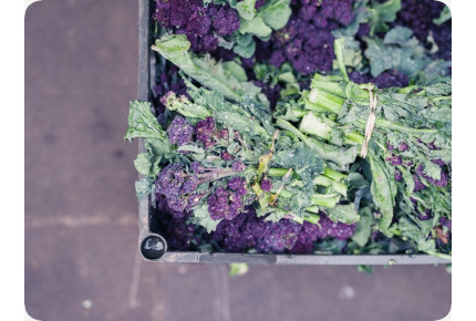 BIO - Broccoli - Early Purple