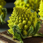 Organic - Cauliflower - Romanesco