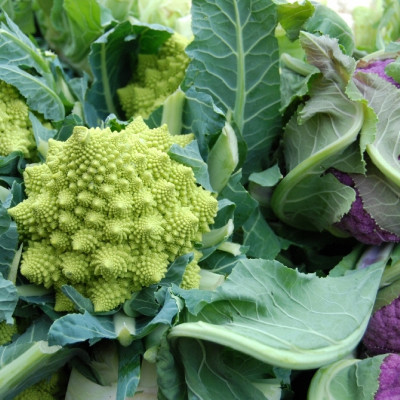 Organic - Cauliflower - Romanesco