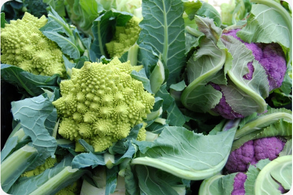 Organic - Cauliflower - Romanesco