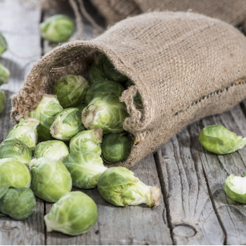 Organic Brussels sprouts - Groningen