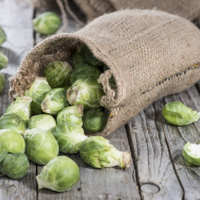 Organic Brussels sprouts - Groningen