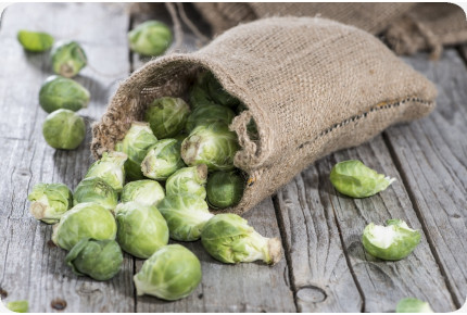 BIO - Rosenkohl - Groninger