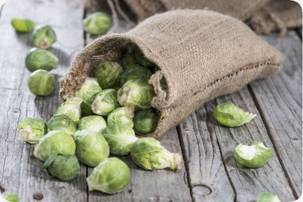 Organic Brussels sprouts - Groningen