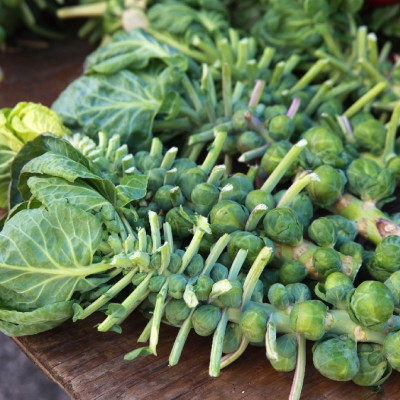 Organic Brussels sprouts - Groningen