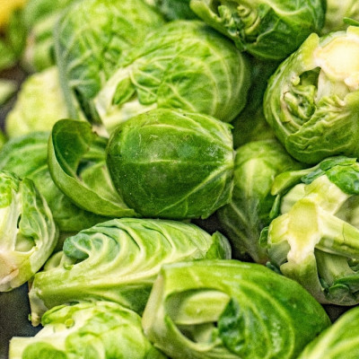 Organic Brussels sprouts - Groningen