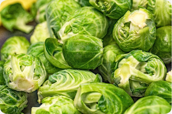 Organic Brussels sprouts - Groningen