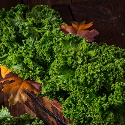Organic kale - Westland Winter
