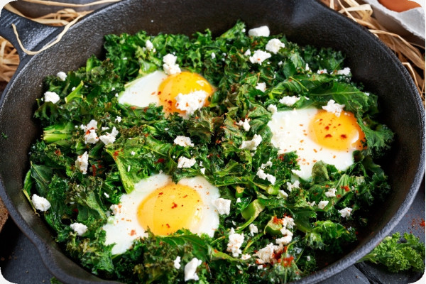 Organic kale - Westland Winter