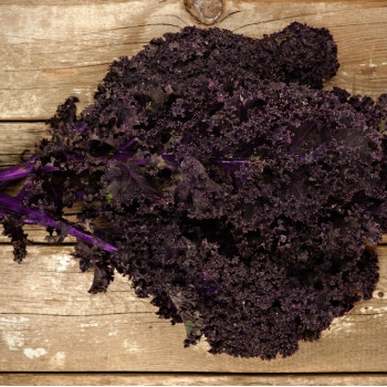 Organic - Kale - Red Curly