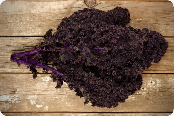 Organic - Kale - Red Curly