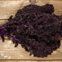 Organic - Kale - Red Curly