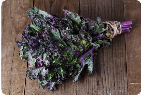 Organic - Kale - Red Curly