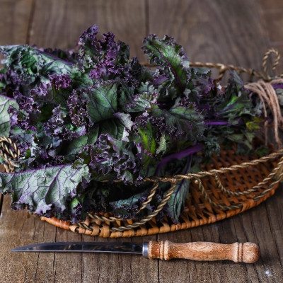 Organic - Kale - Red Curly