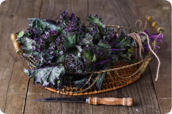 Organic - Kale - Red Curly