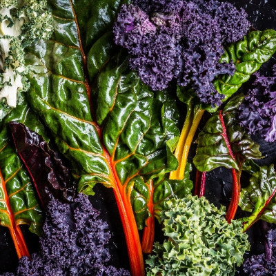 Organic - Kale - Red Curly