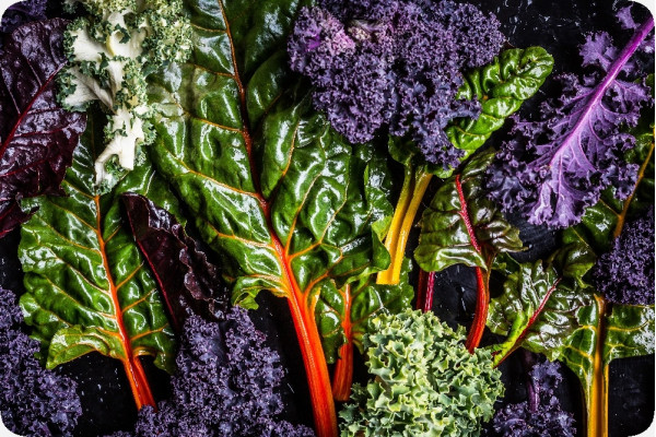 Organic - Kale - Red Curly