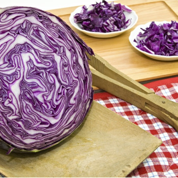 Organic - Red Cabbage - Red Drumhead