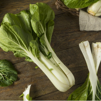 BIO - Chinesischer Senfkohl - Pak Choi