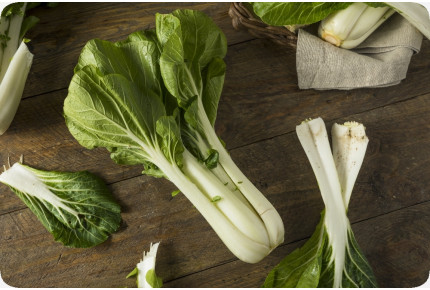 BIO - Chinesischer Senfkohl - Pak Choi