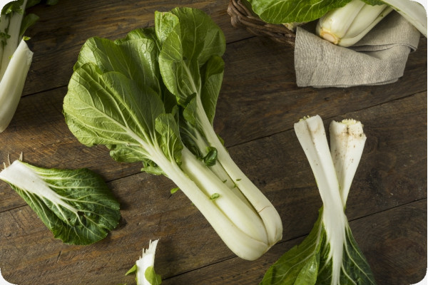 BIO - Chinesischer Senfkohl - Pak Choi