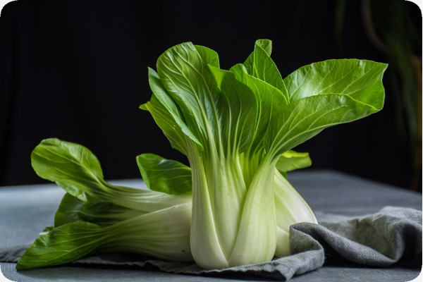 BIO - Chinesischer Senfkohl - Pak Choi