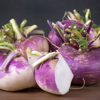 BIO - Kohlrabi - Milan Purple