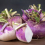 Organic - Kohlrabi - Milan Purple
