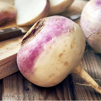 Organic - Kohlrabi - Milan Purple