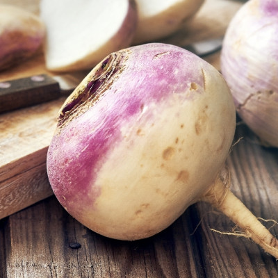 BIO - Kohlrabi - Milan Purple