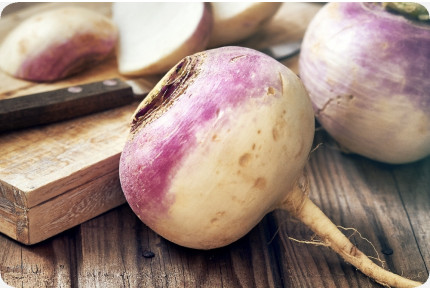 BIO - Kohlrabi - Milan Purple