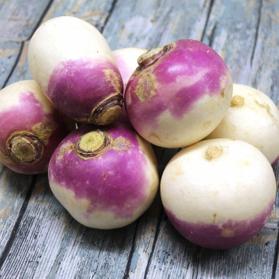 BIO - Kohlrabi - Milan Purple