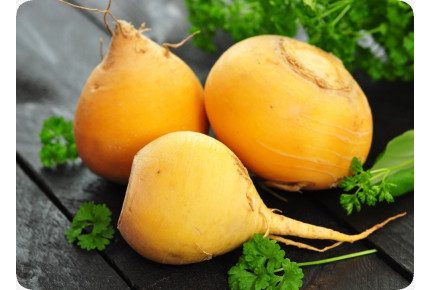 BIO - Rübe - Goldana