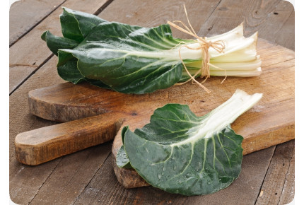 BIO - Schweizer Mangold