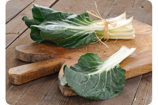 Organic - Swiss Chard
