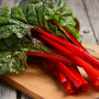Organic - Swiss chard - rhubarb