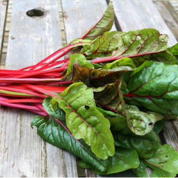 Organic - Swiss chard - rhubarb