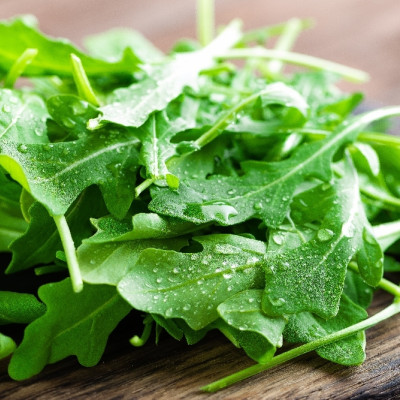 BIO - Rucola