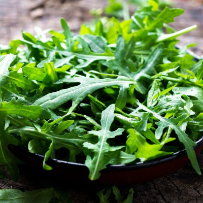BIO - Wilder Rucola