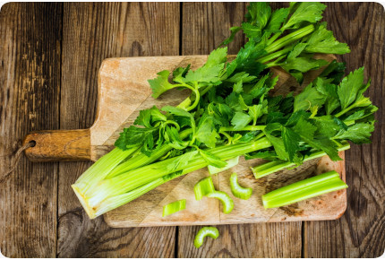 BIO - Sellerie - Tall Utah