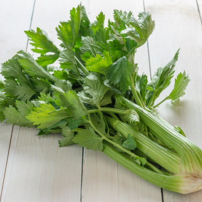 Organic Celery - Tall Utah