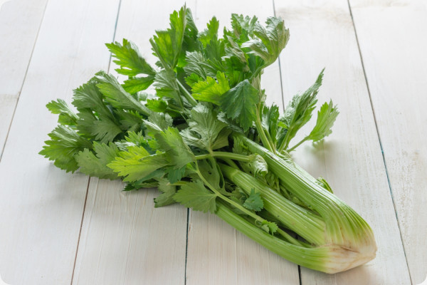 Organic Celery - Tall Utah