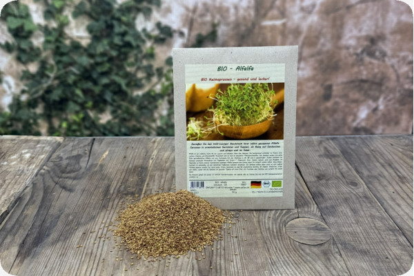 Alfalfa sprouts