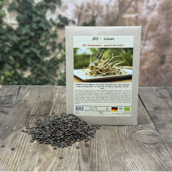 Lentil sprouts