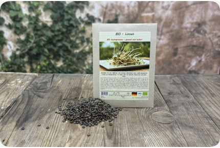 Linsen - Keimsprossen